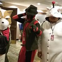 Photo meant to show Triad Anime Convention